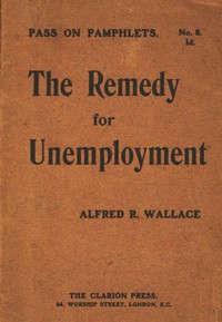 Cover of The Remedy for Unemployment
