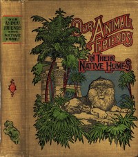 Cover of A Natural History for Young People: Our Animal Friends in Their Native Homes including mammals, birds and fishes