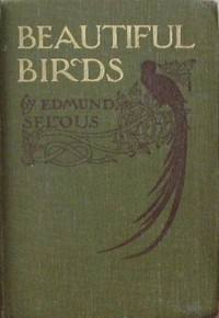 Cover of Beautiful Birds