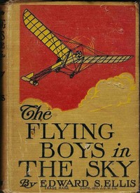 Cover of The Flying Boys in the Sky