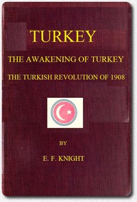 Cover of Turkey; the Awakening of Turkey; the Turkish Revolution of 1908