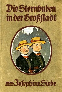 Cover of Die Sternbuben in der Großstadt: Eine heitere Geschichte