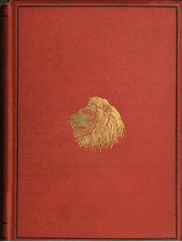 Cover of What I Saw in Kaffir-Land