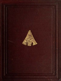 Cover of The Ancient Stone Implements, Weapons and Ornaments, of Great Britain Second Edition, Revised