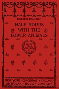 Cover of Half hours with the lower animals : $b protozoans, sponges, corals, shells, insects, and crustaceans