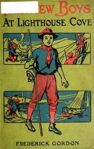 Cover of Fairview Boys at Lighthouse Cove; or, Carried out to Sea