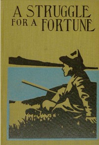 Cover of A Struggle for a Fortune