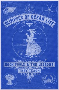 Cover of Glimpses of Ocean Life; Or, Rock-Pools and the Lessons they Teach
