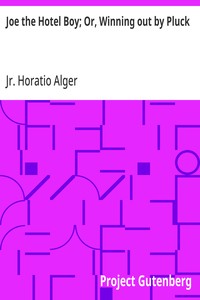 Cover of Joe the Hotel Boy; Or, Winning out by Pluck