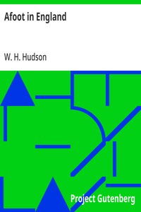 Cover of Afoot in England