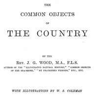 Cover of The Common Objects of the Country