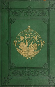 Cover of A Butterfly Chase