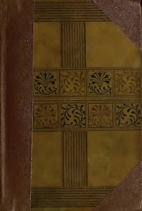 Cover of The New Abelard: A Romance, Volume 1 (of 3)