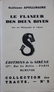 Cover of Le flâneur des deux rives