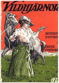 Cover of Vildhjärnor: Amerikahistorier