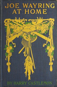 Cover of Joe Wayring at Home; or, The Adventures of a Fly-Rod