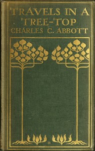 Cover of Travels in a Tree-top