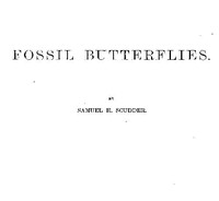 Cover of Fossil Butterflies Memoirs of the American Association for the Advancement of Science, I.