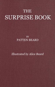 Cover of The Surprise Book