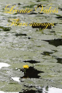 Cover of Fleurs sauvages: Poésies