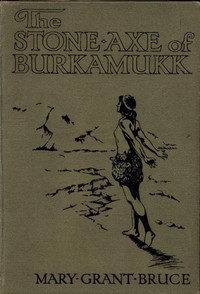Cover of The Stone Axe of Burkamukk