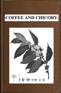Cover of Coffee and chicory : $b Their culture, chemical composition, preparation for market, and consumption, with simple tests for detecting adulteration, and practical hints for the producer and consumer