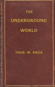 Cover of The Underground World: A mirror of life below the surface