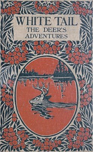 Cover of White Tail the Deer's Adventures