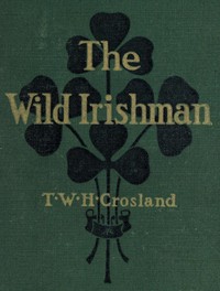 Cover of The Wild Irishman