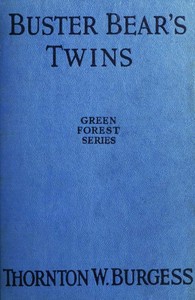 Cover of Buster Bear's Twins