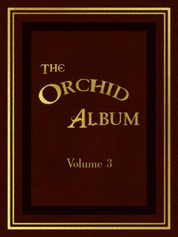 Cover of The Orchid Album, Volume 3 Comprising Coloured Figures and Descriptions of New, Rare, and Beautiful Orchidaceous Plants