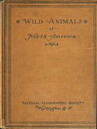 Cover of Wild Animals of North America Intimate Studies of Big and Little Creatures of the Mammal Kingdom