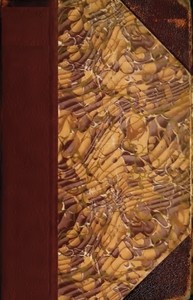 Cover of The Fortunes of Nigel