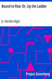Cover of Bound to Rise; Or, Up the Ladder