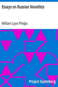 Cover of Essays on Russian Novelists