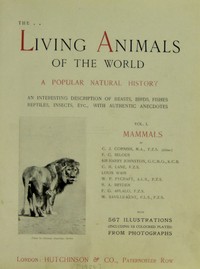Cover of The Living Animals of the World, Volume 1 (of 2) A Popular Natural History