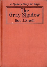 Cover of The Gray Shadow A Mystery Story For Boys