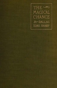 Cover of The Magical Chance