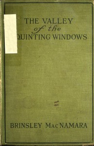 Cover of The Valley of Squinting Windows
