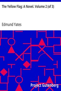Cover of The Yellow Flag: A Novel. Volume 2 (of 3)