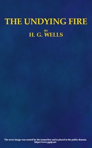 Cover of The Undying Fire: A contemporary novel