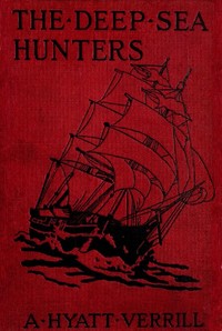 Cover of The Deep Sea Hunters: Adventures on a Whaler