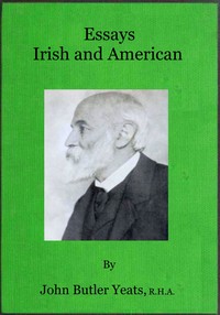 Cover of Essays Irish and American