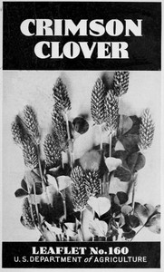 Cover of Crimson Clover [1947]