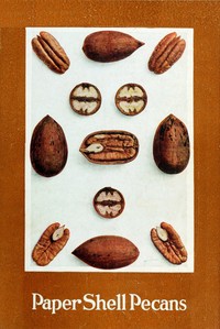 Cover of Paper Shell Pecans