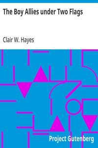 Cover of The Boy Allies under Two Flags