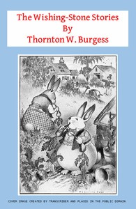 Cover of The Wishing-Stone Stories