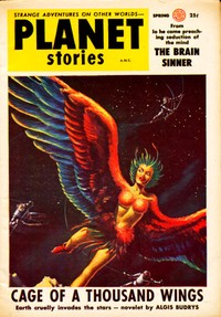 Cover of The Space Between