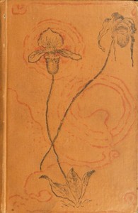Cover of On Board the "Rocket"