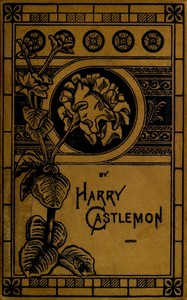 Cover of The Young Wild-Fowlers